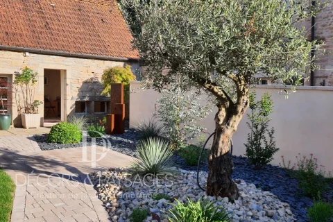 Décors & Paysages - Cote jardin - jardin avec olivier